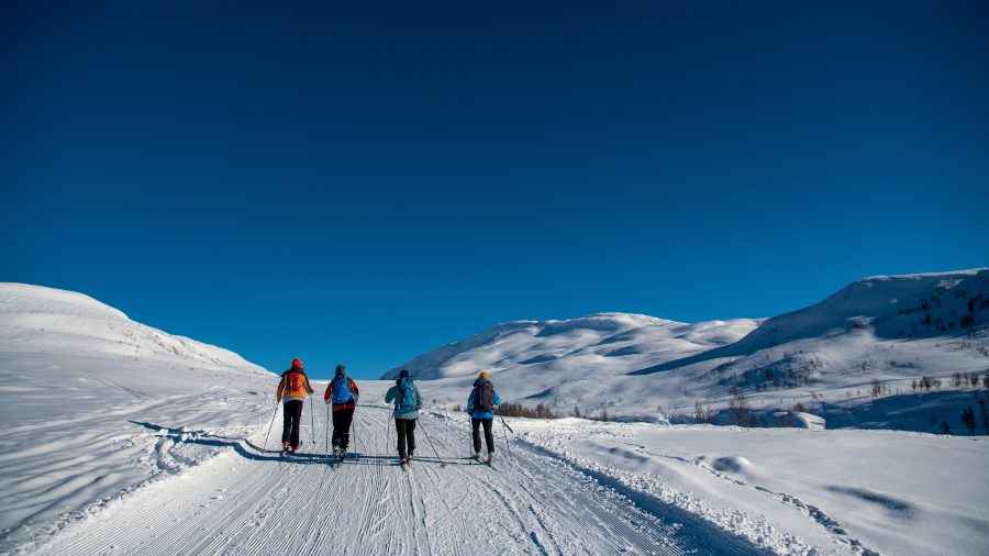 Fire kvinner går på langrenn i løypenettverket til Myrkdalen