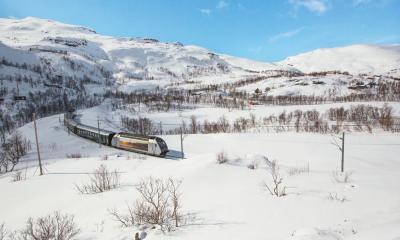 Experience the Iconic Flåm Railway - incl. bus & train tickets