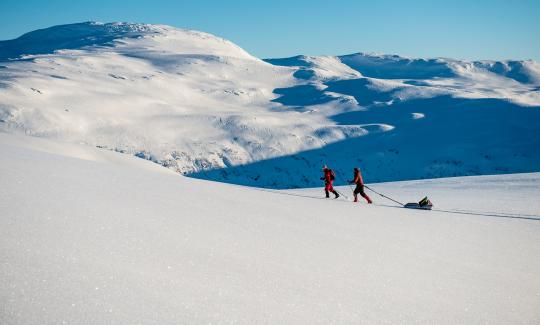 To personar med pulk på fjellski på Vikafjell