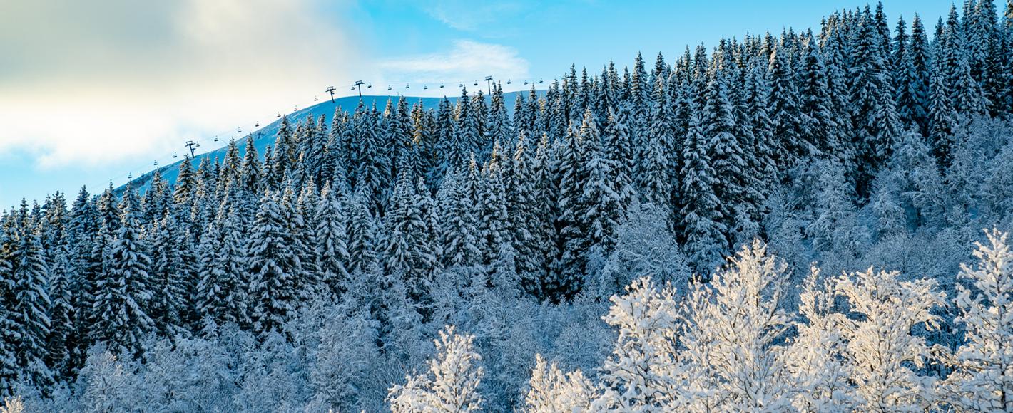 vinterlandskap med skitrekk i Myrkdalen